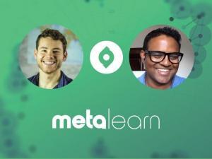 Newton's Law of Gravity (Metalearn Podcast)